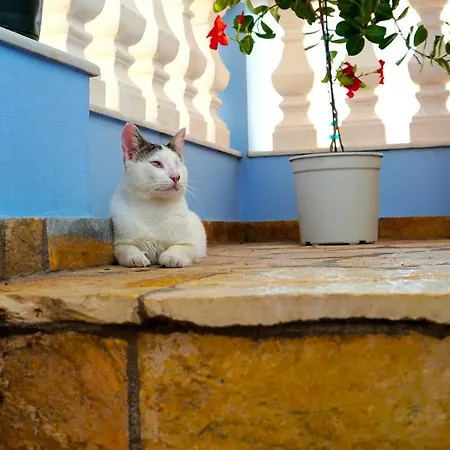 Bettina 2nd Floor Villa *