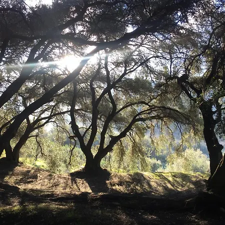 Bettina 2nd Floor Villa