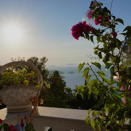 Bettina 2nd Floor Villa Afionas