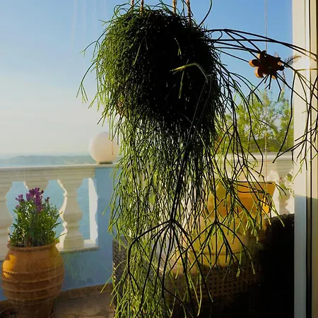 Bettina 2nd Floor Afión