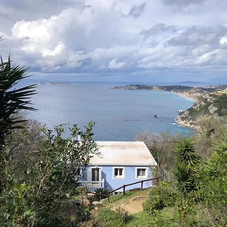 Bettina 2nd Floor * Afión