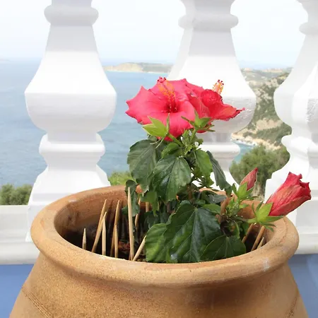 Villa Bettina 2nd Floor