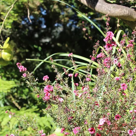 Villa Bettina 2nd Floor