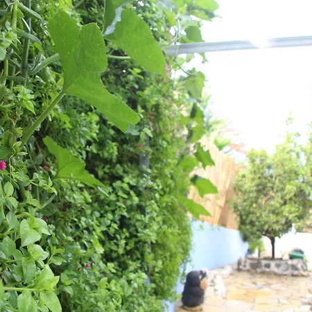 Bettina 2nd Floor Villa Afión