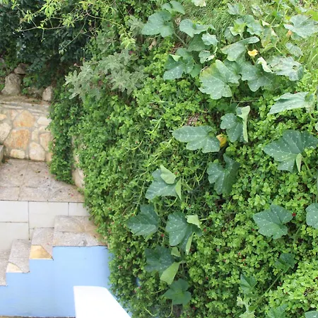 Bettina 2nd Floor Villa *